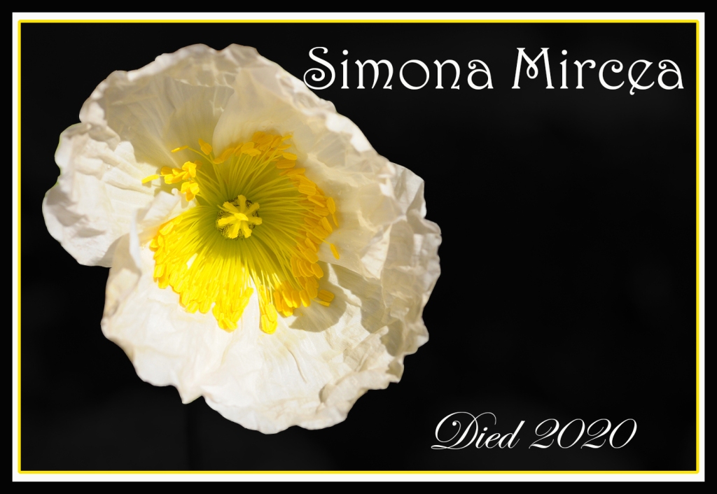 This image has an empty alt attribute; its file name is simona-mircea-memorial-2020-photo.jpg