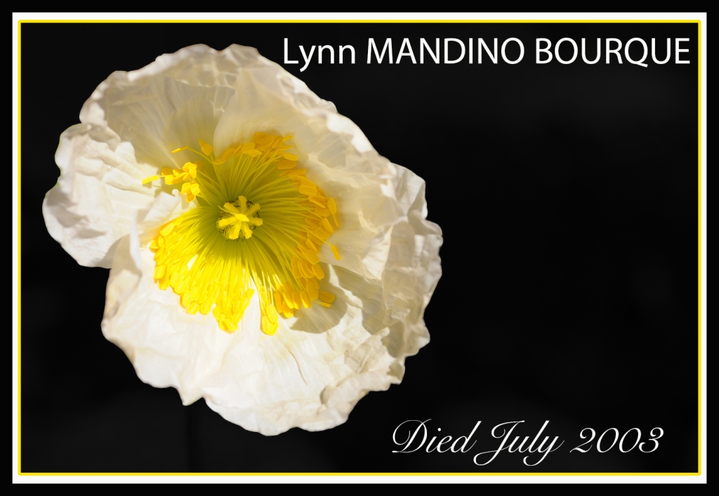 This image has an empty alt attribute; its file name is lynn-mandino-bourque-fa-2022-rs.jpg