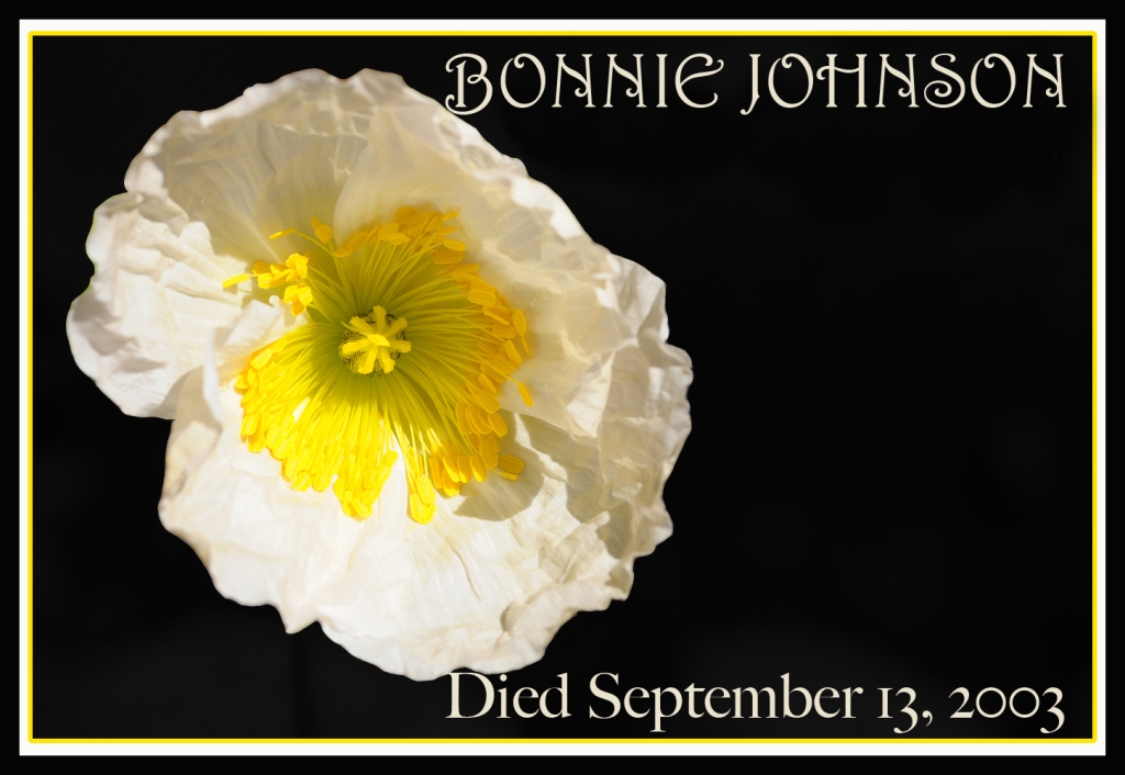 This image has an empty alt attribute; its file name is remembering-poppy-bonnie-johnson-2.jpg