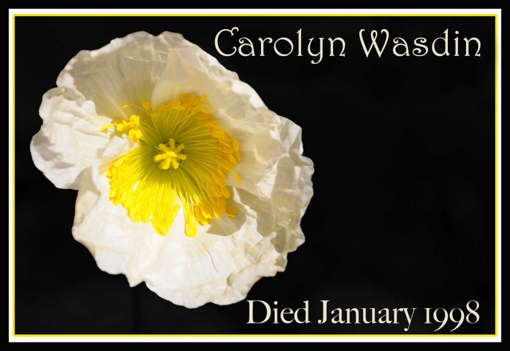 This image has an empty alt attribute; its file name is remembering-poppy-carolyn-wasdin.jpg